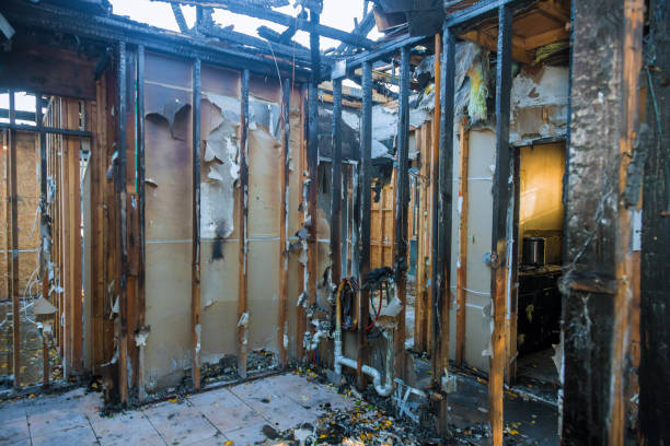 Professional Fire Damage Assessment technician working in Franklin Park, FL