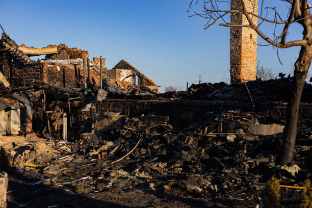 Reliable Fire Damage Assessment contractor in Franklin Park, FL by Fire Damage Doption